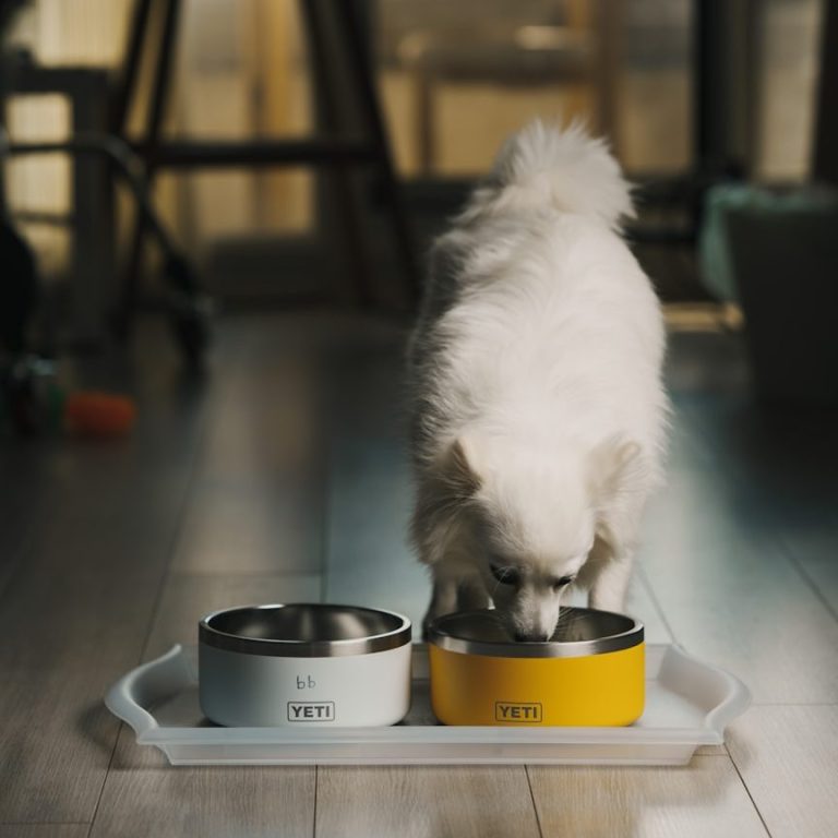 Monics-Hundewelt auch bei Futter dein Ansprechpartner Ein kleiner, weißer Hund frisst aus einem Futternapf in einer modernen Wohnung.