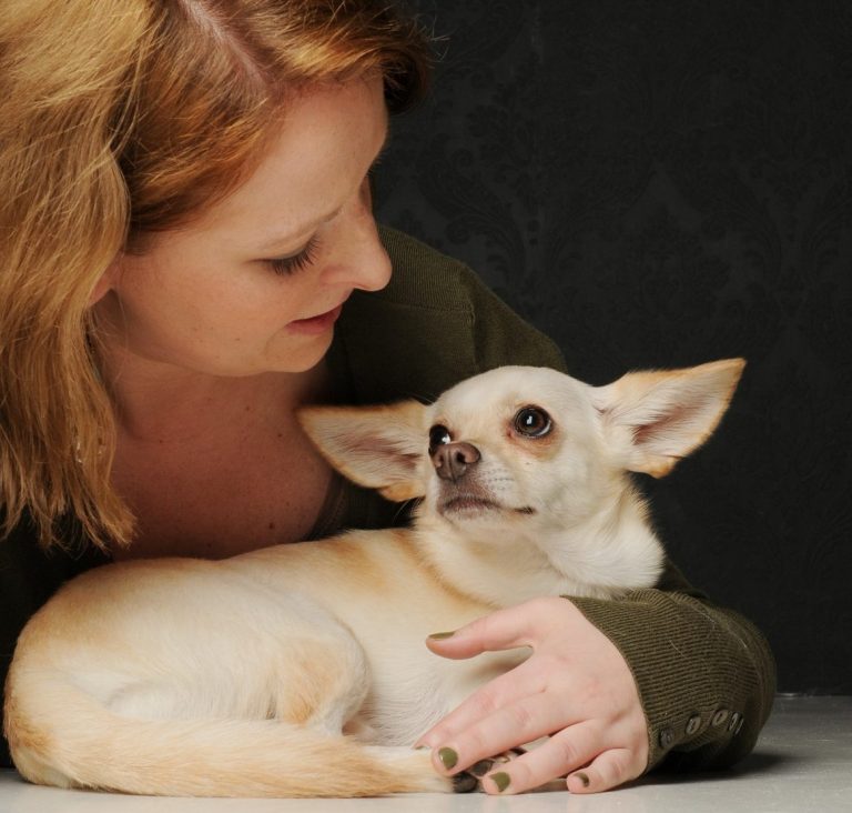 Monics-Hundewelt hilft dir dabei Dreamteam